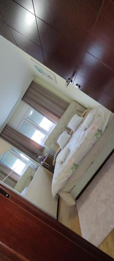Apartman Mali Raj Vrnjačka Banja Kültér fotó